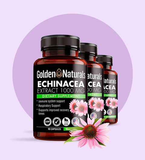 Echinacea Extract Vitamins (90 capsules)