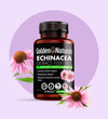 Echinacea Extract Vitamins (90 capsules)