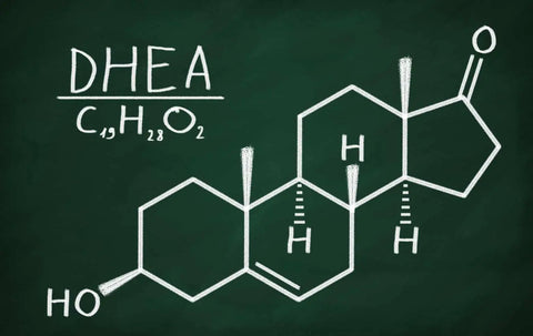 What Are the Benefits of DHEA?